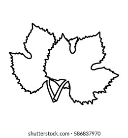 leaves tree grape wine design vector illustration eps 10