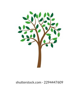 leaves tree green. Simple graphic. Vector illustration.