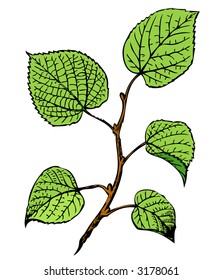 leaves tree nature branch spring plants foliage natural earth leaves scenery green rise increase success painting leafy vital healthful improvement image biology illustration growth vector stick timbe