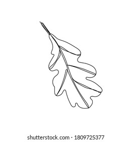 leaves of tree oak continuous line art. Outline drawing. The art of minimalism. Contemporary decor. illustration isolated on white background.