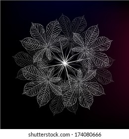 leaves of a tree on a black background. Vector 