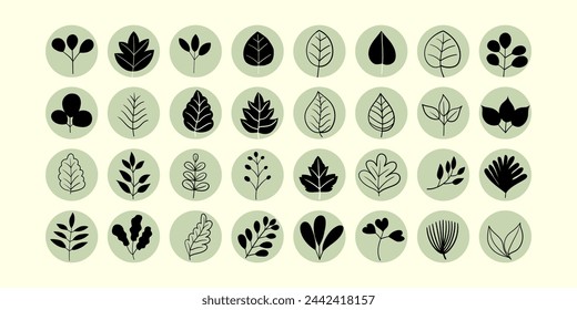 Leaves of a tree or plants hand drawn doodle icon set. Tropical natural decoration vector illustration.