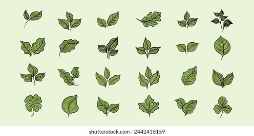 Hojas de un árbol o plantas dibujadas a mano doodle icono conjunto. Ilustración vectorial de decoración natural tropical.