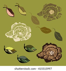 The leaves and the tree rings drawn by hand. Vector illustration