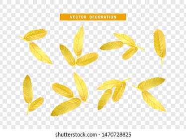 Leaves from the tree. set of realistic simple petals and leaves. Vector illustration