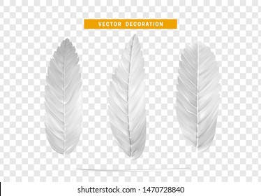 Leaves from the tree. set of realistic simple petals and leaves. Vector illustration