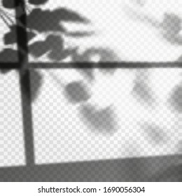 Leaves of tree shadow through window with soft light. Plant foliage photo realistic scene. Vector light reflection scene with shadowy effects. Blurry image with natural sunlight. Wallpaper, decoration