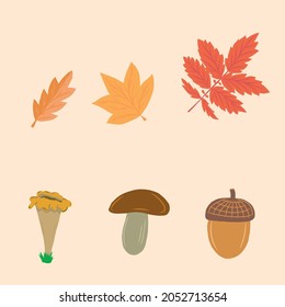 Leaves from trees, acorns and mushrooms in autumn