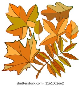 leaves of trees bright set