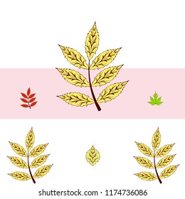 leaves of trees deciduous autumn vector background