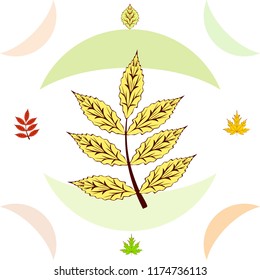 leaves of trees deciduous autumn vector background