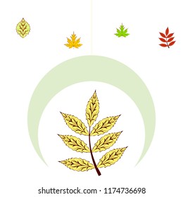 leaves of trees deciduous autumn vector background