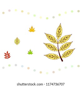 leaves of trees deciduous autumn vector background