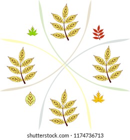 leaves of trees deciduous autumn vector background