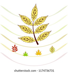 leaves of trees deciduous autumn vector background