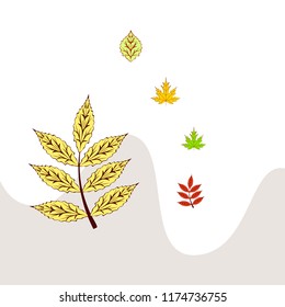 leaves of trees deciduous autumn vector background