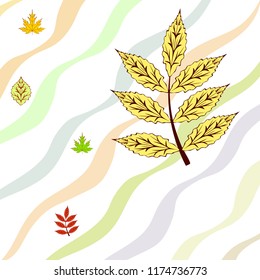 leaves of trees deciduous autumn vector background
