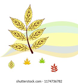 leaves of trees deciduous autumn vector background