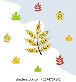 leaves of trees deciduous autumn vector background