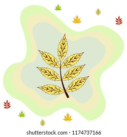 leaves of trees deciduous autumn vector background