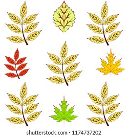 leaves of trees deciduous autumn vector background