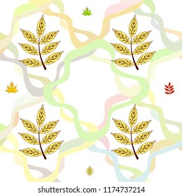 leaves of trees deciduous autumn vector background
