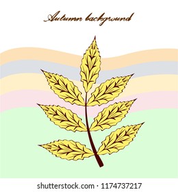 leaves of trees deciduous autumn vector background