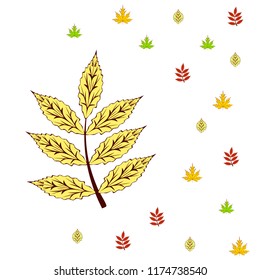 leaves of trees deciduous autumn vector background