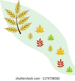 leaves of trees deciduous autumn vector background