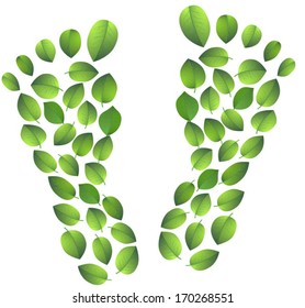 Leaves of trees. Footprints. Green foot.