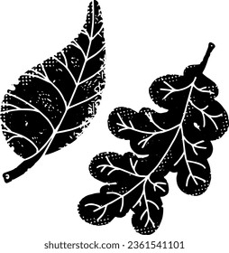Leaves from trees. Graphic arts. Vector element, set.
