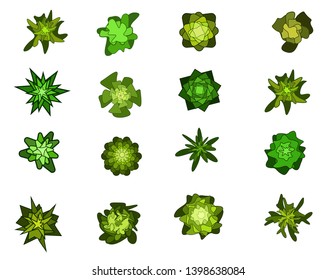 leaves of trees on a white background top view, elements of landscape design