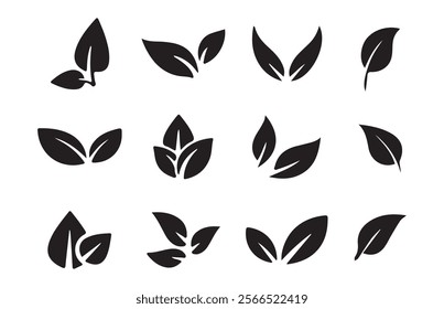 Leaves of trees and plants. Leaves icon. Leaf Shapes Collection. Elements design for natural, eco, bio, and vegan labels. Vector illustration EPS 10