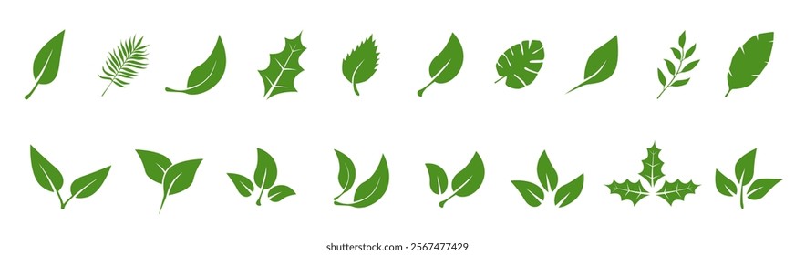 Leaves of trees and plants. Tropical leaves. Set of green leaf icons. Leaves on white background. Ecology. Vector illustration.