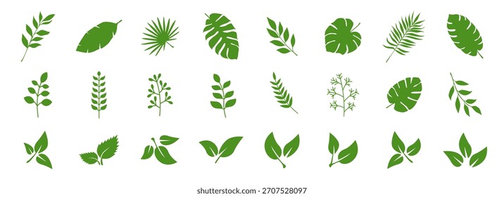 Leaves of trees and plants. Tropical leaves. Set of green leaf icons. Leaves on white background. Ecology. Vector illustration.