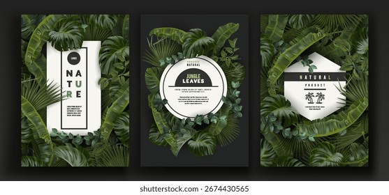 Hojas trópicas, Anuncio 3D. Hoja de plátanos realistas, monstruos, palma. Cartel de diseño forestal. Marco de la selva. Follaje hawaiano. Naturaleza verde, plantas exóticas. Elegante volante. Tarjeta de Vector, Plantilla tropical