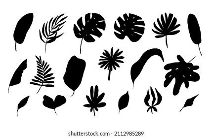 Leaves tropical. Black silhouette jungle exotic leaf palm, monstera and banana. Botanical decor, summer nature design object, rainforest subtropical tree. Vector isolated on white background set