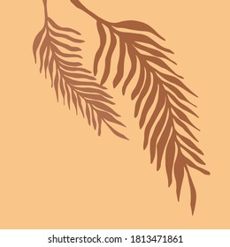 Leaves from tropical forest, Palm leaves isolated on a colored background. Can be used for Posters, greeting cards, flyers, invitations, web design, graphic design.