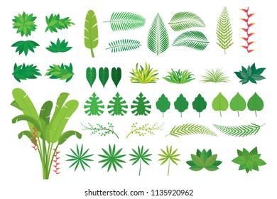 Leaves Tropical Jungle Set, Forrest, Rainforest, Plant and Nature 