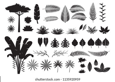 Leaves Tropical Jungle Silhouette Set, Forrest, Rainforest, Plant and Nature