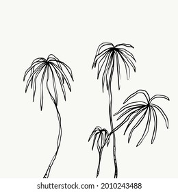 Leaves and tropical line foliage isolated on white background. vector design.