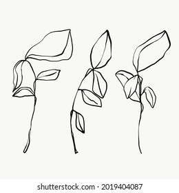 Leaves and tropical line foliage isolated on white background. vector design.