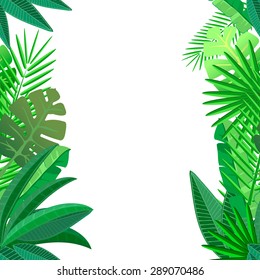 Leaves of tropical palm on white  Seamless pattern  