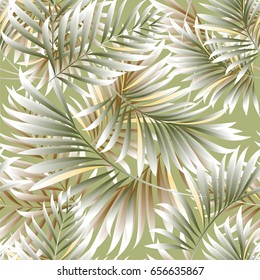 Leaves of a tropical palm tree.