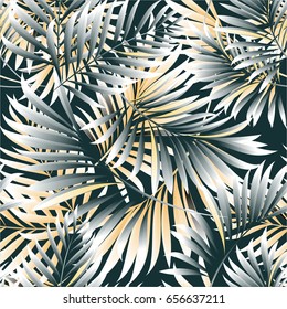 Leaves of a tropical palm tree.