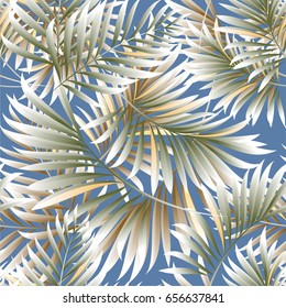 Leaves of a tropical palm tree.