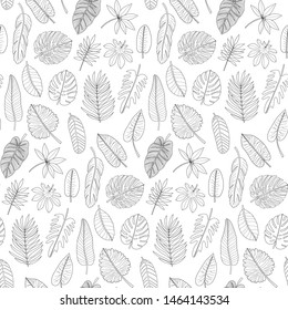 Leaves of tropical plants black and white outline seamless pattern