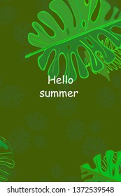 Leaves of tropical plants. Color summer postcard, summer vacation. Vector background.