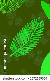 Leaves of tropical plants. Color summer postcard, summer vacation. Vector background.