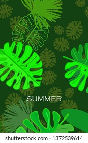 Leaves of tropical plants. Color summer postcard, summer vacation. Vector background.